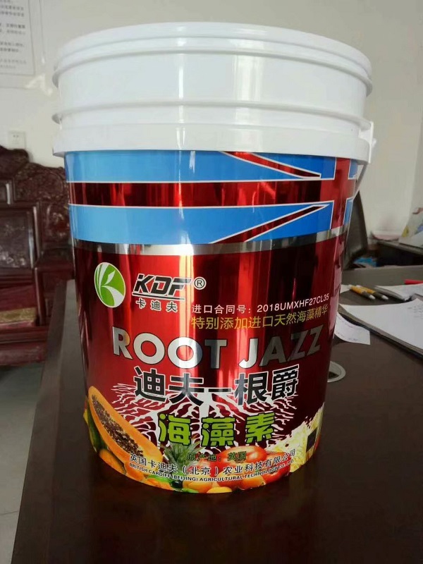 新型20公斤塑料桶，20升塑料桶